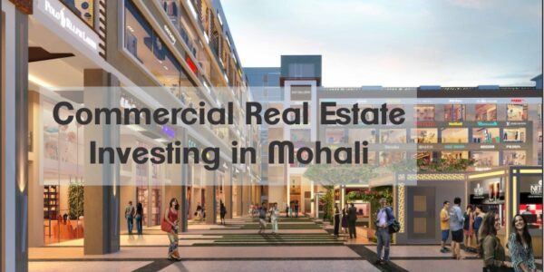 Commercial Real Estate Investing in Mohali